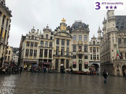 Private Accessible 3 hour Brussels Guided Tour