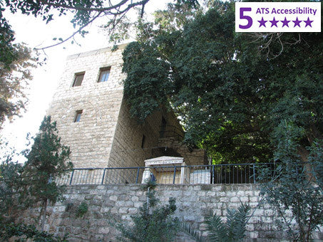 Private Accessible 8 hour Haifa Cruise Excursion to Sea of Galilee