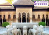 Private Accessible 8 hour Alhambra and Grenada Excursion