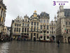 Private Accessible 3 hour Brussels Guided Tour