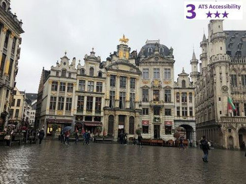 Private Accessible 3 hour Brussels Guided Tour