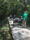 Private Accessible 6 Hour Carara National Park, Boat tour and Jaco Beach Tour