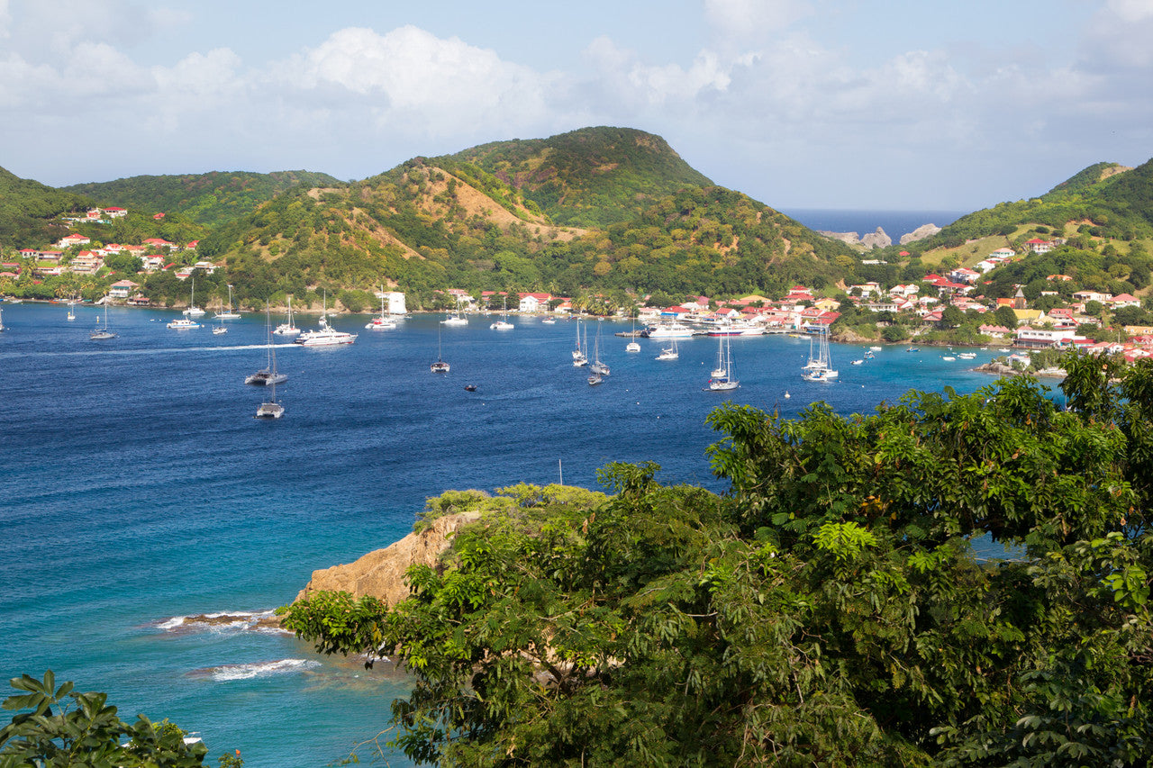 Volcano Rum Private accessible 4 hour Martinique, Mount Pelee Volcano and Rum ...