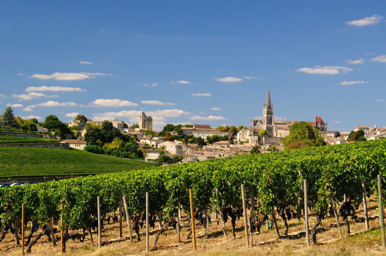 UNAVAILABLE Private Accessible 6 Hour UNESCO St. Emilion Village and Wine Tasting Tour