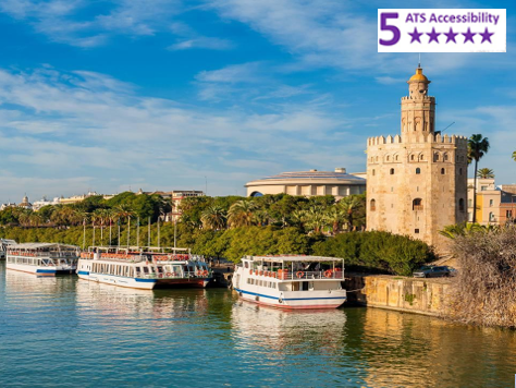 Private Accessible 8 hour Seville Guided Tour from Malaga