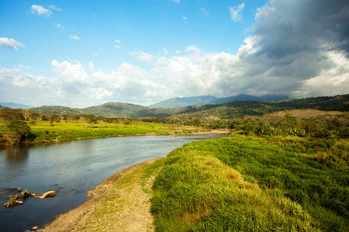 Private Accessible 6.5 Hour Accessible Carara National Park, Boat ride and Shopping Tour