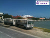 Accessible 2 Hour Grand Turk Tram Tour