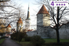 Private Accessible 4 hour Tallinn Guided Tour