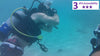 Private Accessible 4 hour St. Thomas Scuba Experience