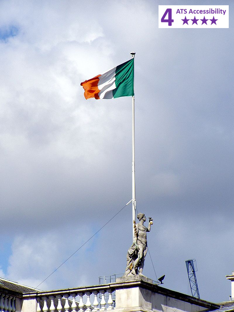 Private Accessible 4 hour Dublin and Guinness Storehouse Tour