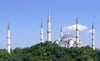 7 Nights Accessible Athens and Istanbul Travel Package - - - Package Pricing Starting at $4950 (per person)